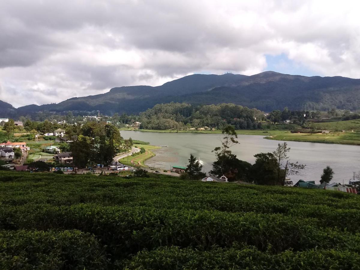 Hotel Eco Creations Nuwaraeliya Nuwara Eliya Exteriér fotografie